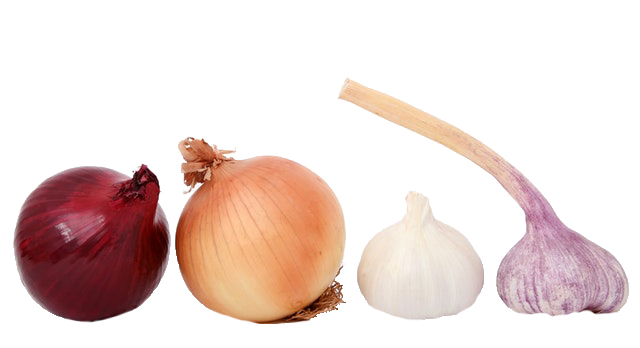 bulb-closeup-close-up-clove-159250